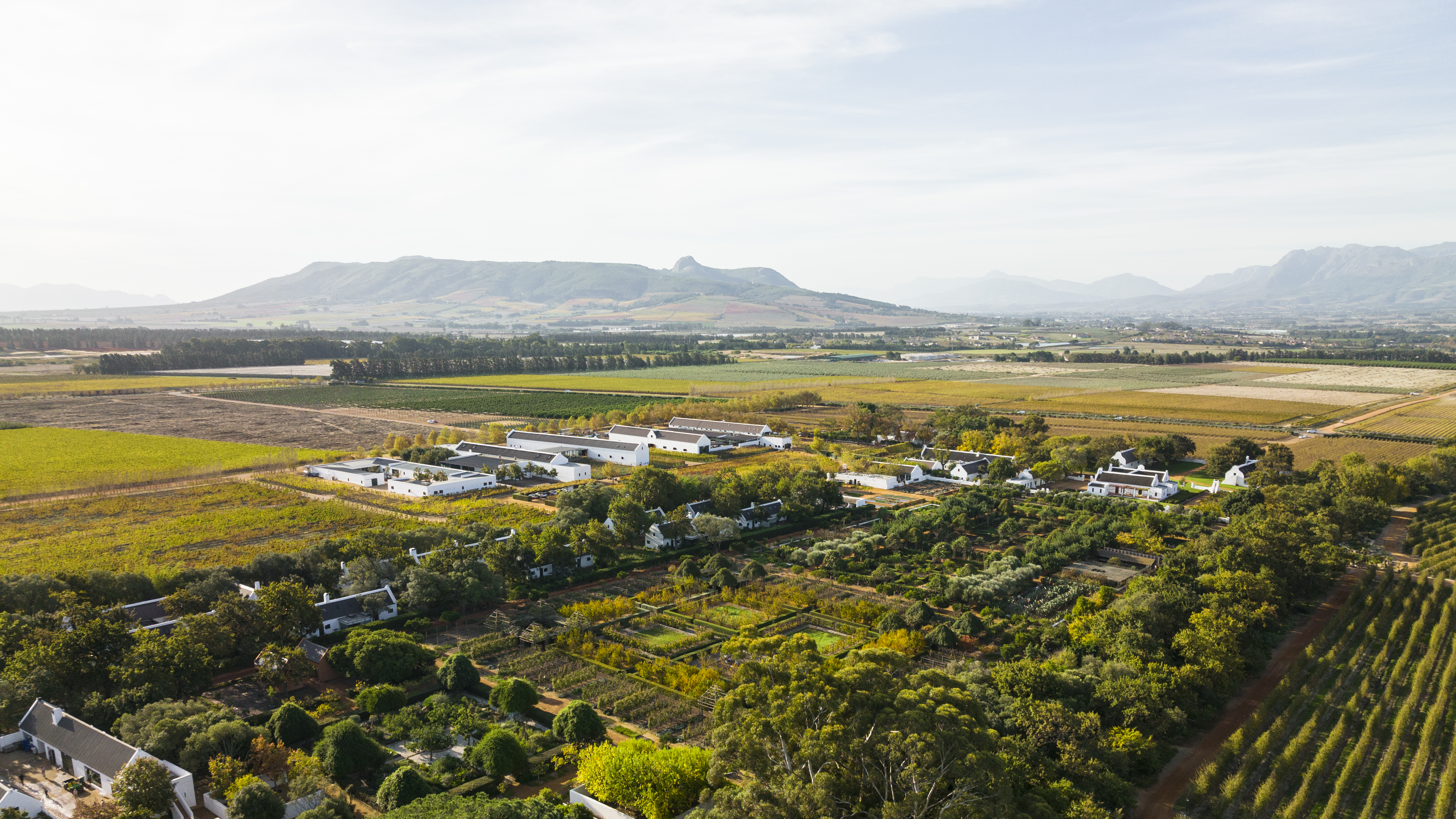 What Babylonstoren's Garden Knows That Its Visitors Don't